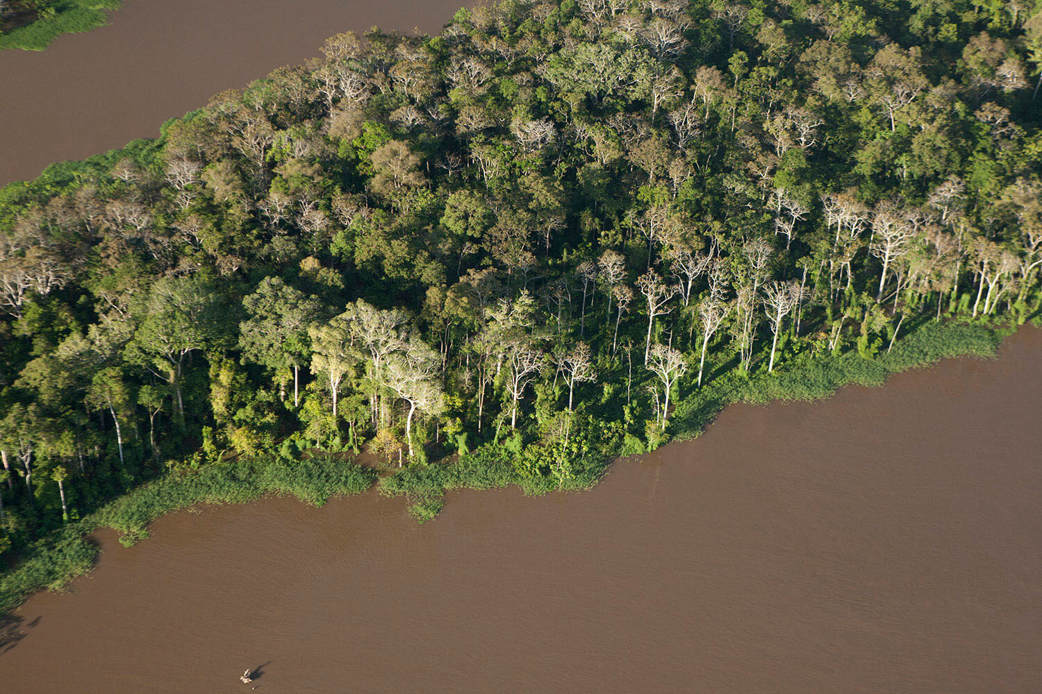 17AMAZONAS slider 18_MG_4565.jpg